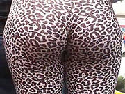 culo leopardato
